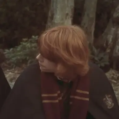 Profile image of Ron Weasley