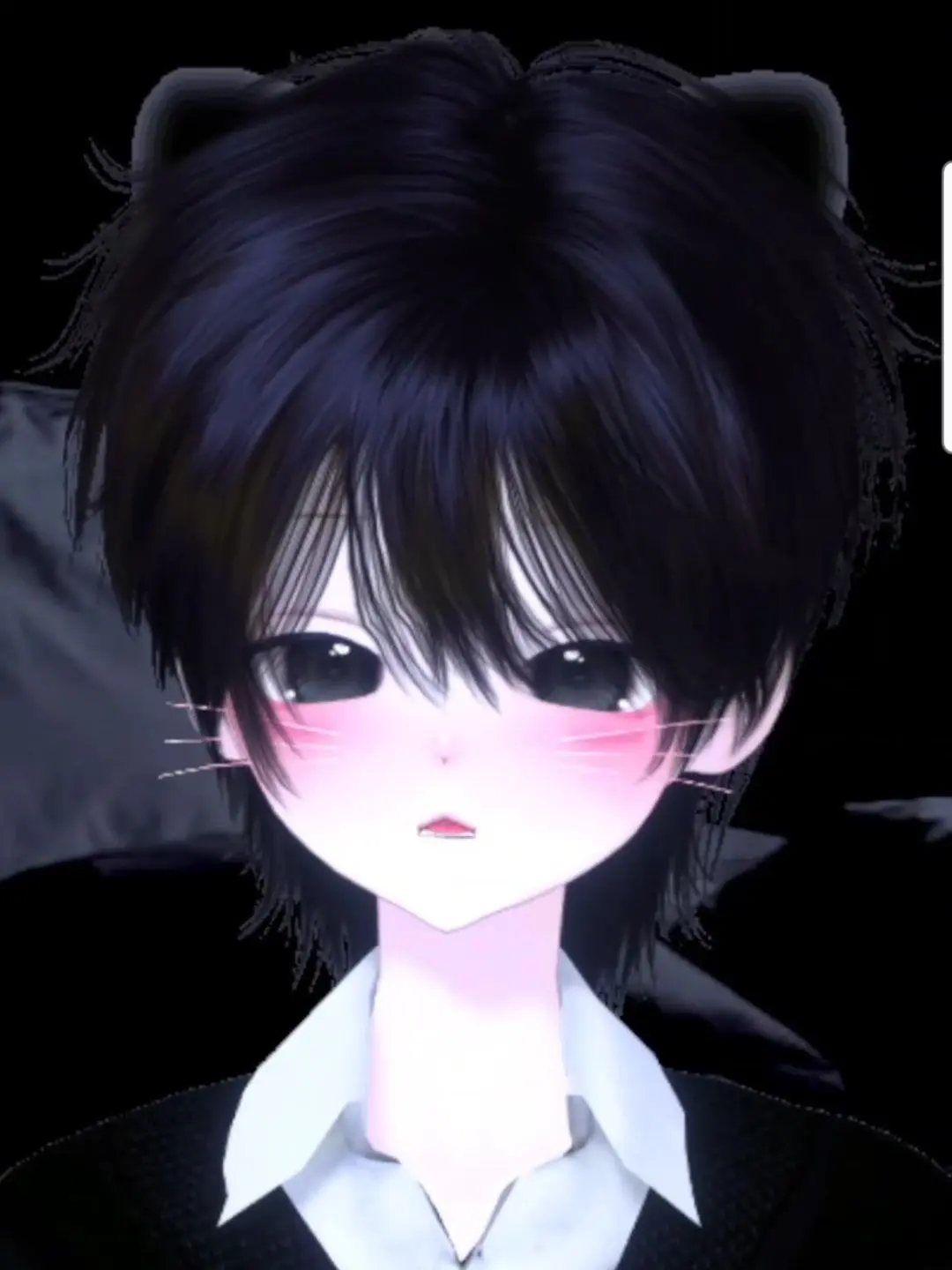 rk05251의 고양이 레오
