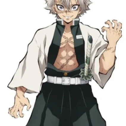 시나즈가와 사네미