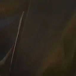 119119의 후플푸프의 문제아