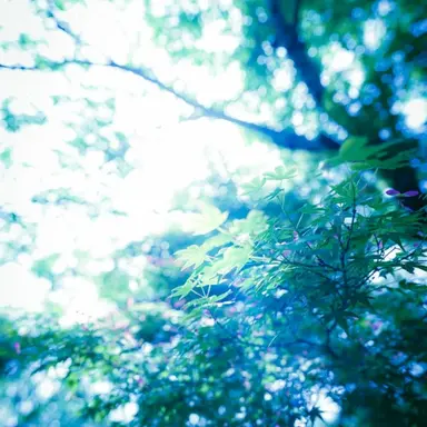 Profile image of 異世界