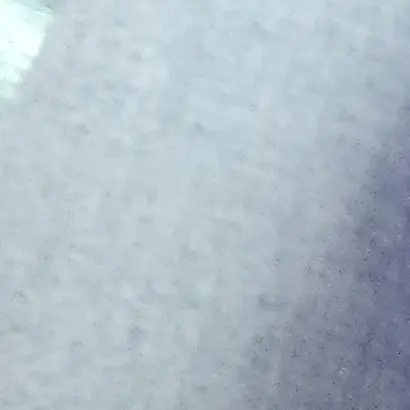 riiia의 강혜석