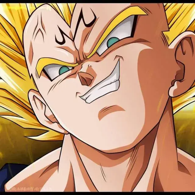 TimelySalty6446의 Majin Vegeta