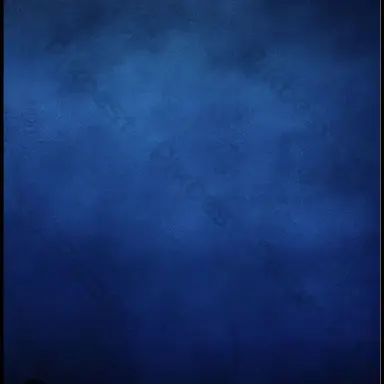 Profile image of 国王