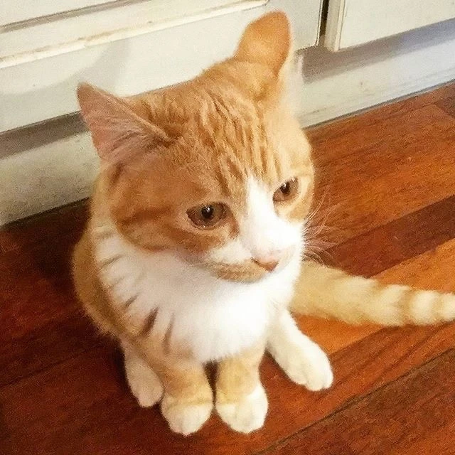 박 성호
