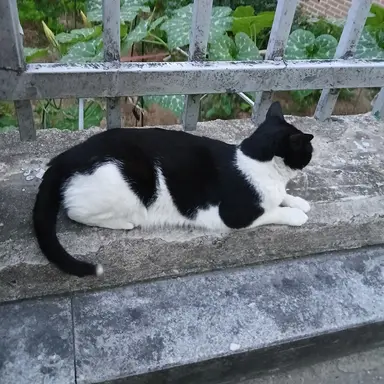 Profile image of 일찐고고프렌즈