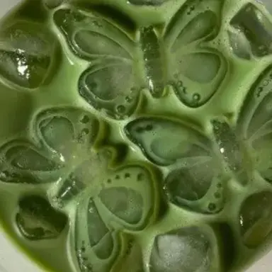 Profile image of 정공룡