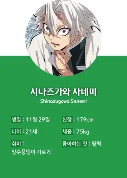 Profile image of 시나즈가와 사네미