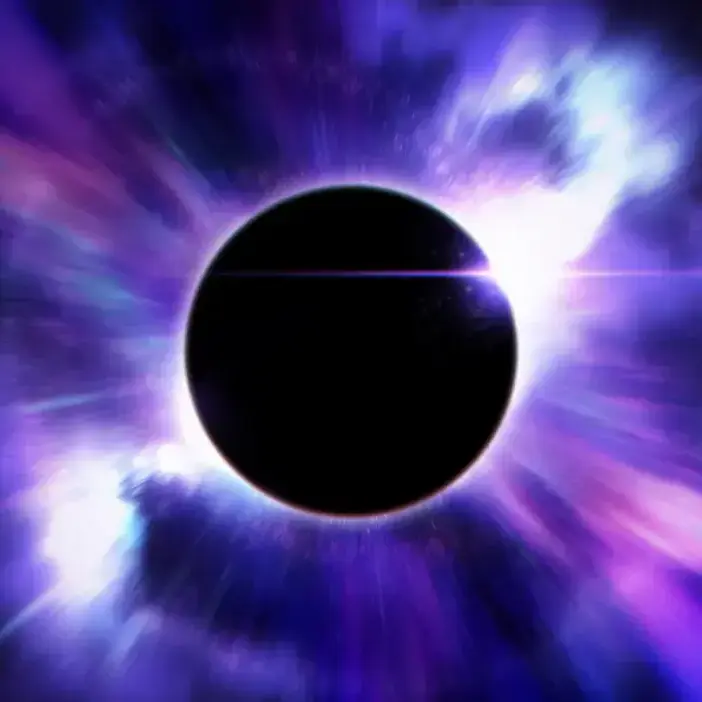 What_Why의 색채에 물든 당신