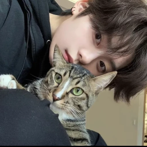 최_연_준