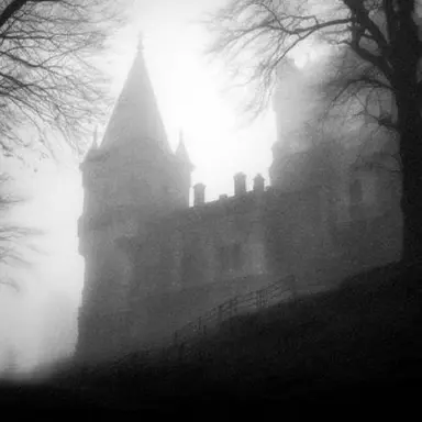 Profile image of 。