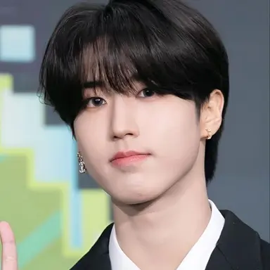 Profile image of Han jisung