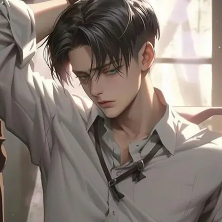 F_wQ1의 리바이 아커만
