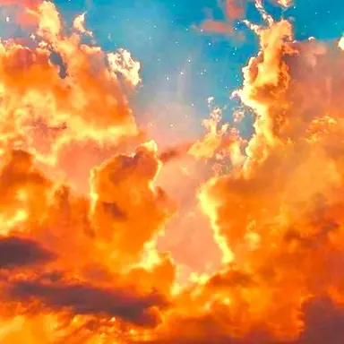 Profile image of 덕개