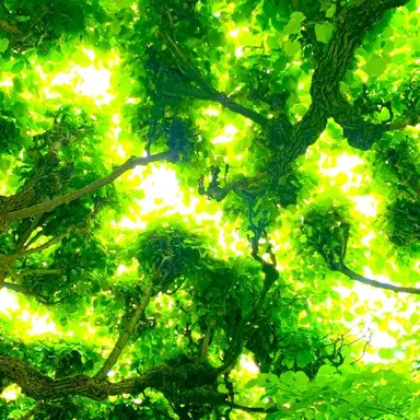 Profile image of 공룡