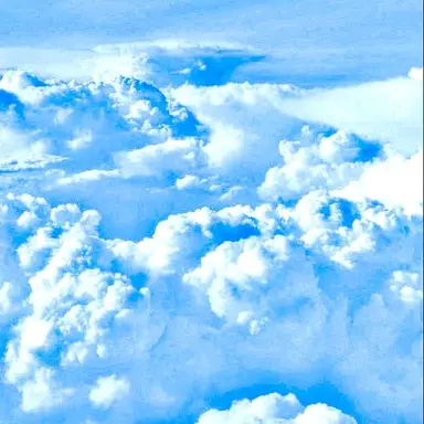 Profile image of 잠뜰