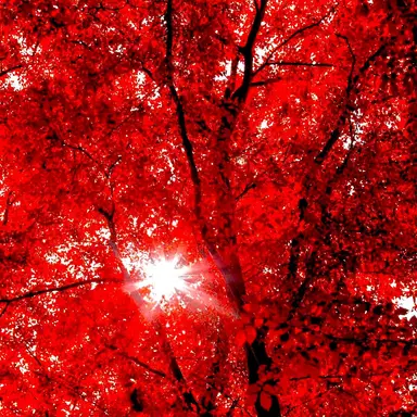 Profile image of 라더