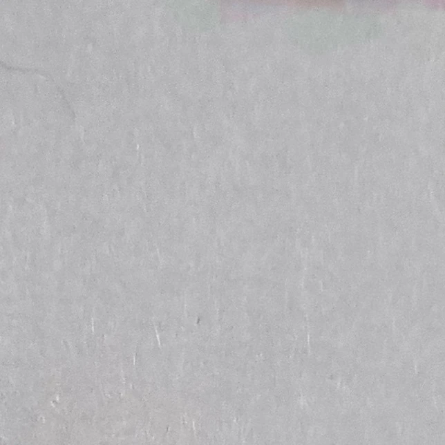 코랄