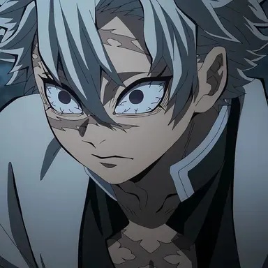 Profile image of Sanemi Shinazugawa