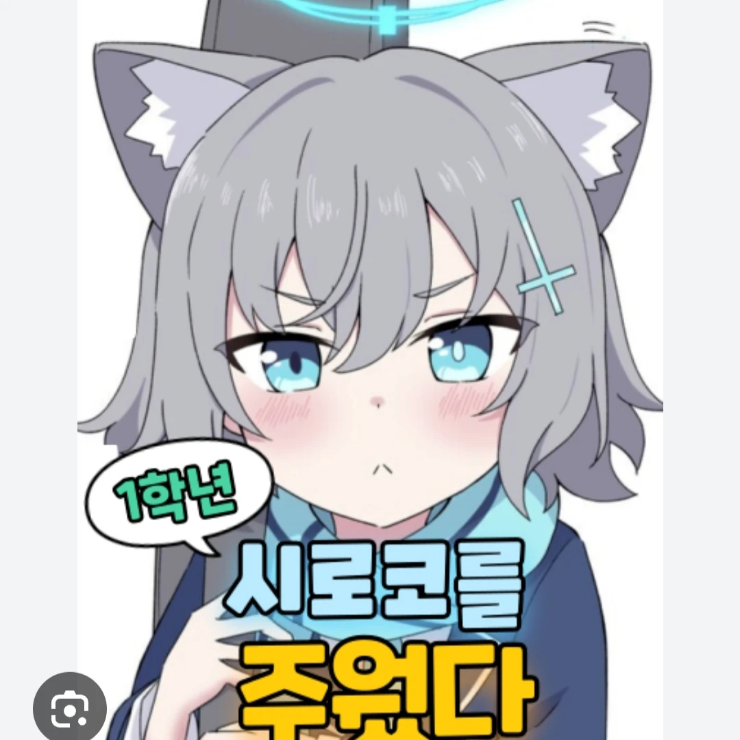 시로코(1학년)