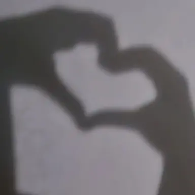 Profile image of 이현진