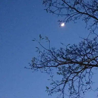 Profile image of 김우빈