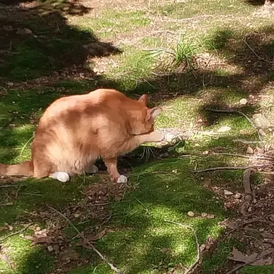 Profile image of 쌤