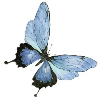 Profile image of 徐倫