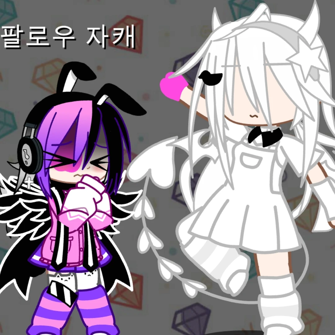 내 팔로워 자캐
