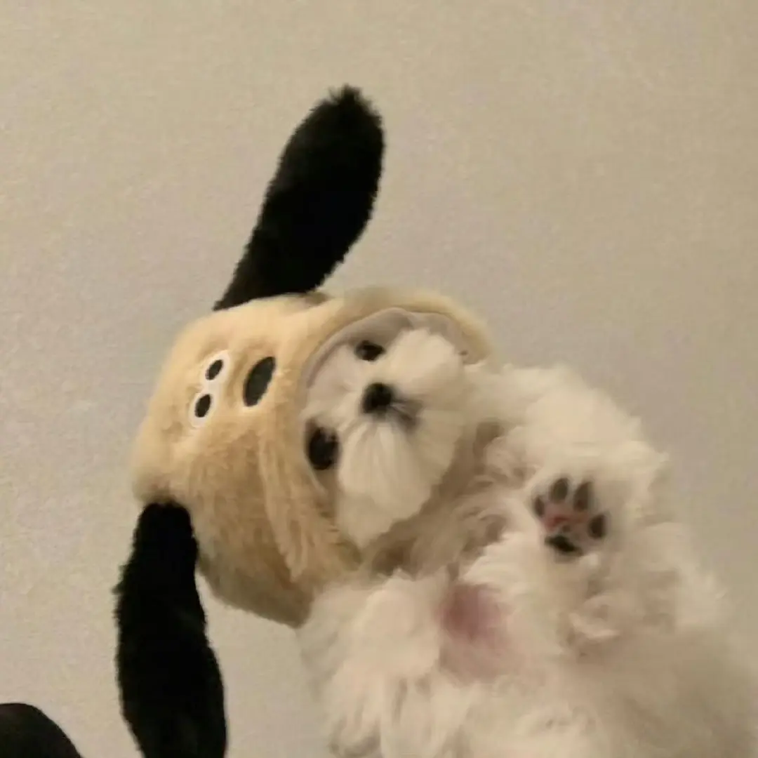 hawols51의 조병현