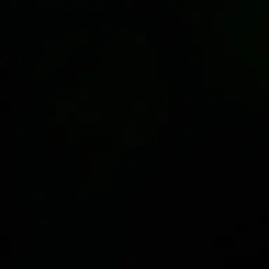 Profile image of 김동현