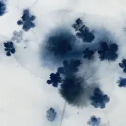 Profile image of 쿠로사와 히로