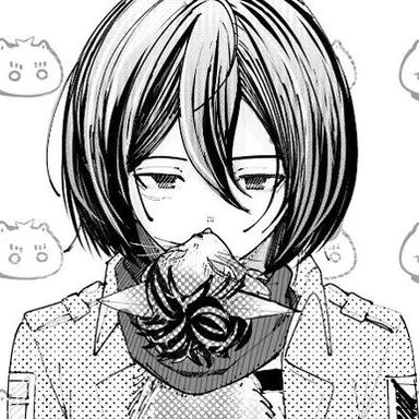 Profile image of 미카사
