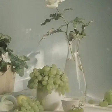 Profile image of 공룡