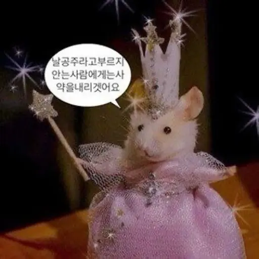 k.0_in1020의 송지예