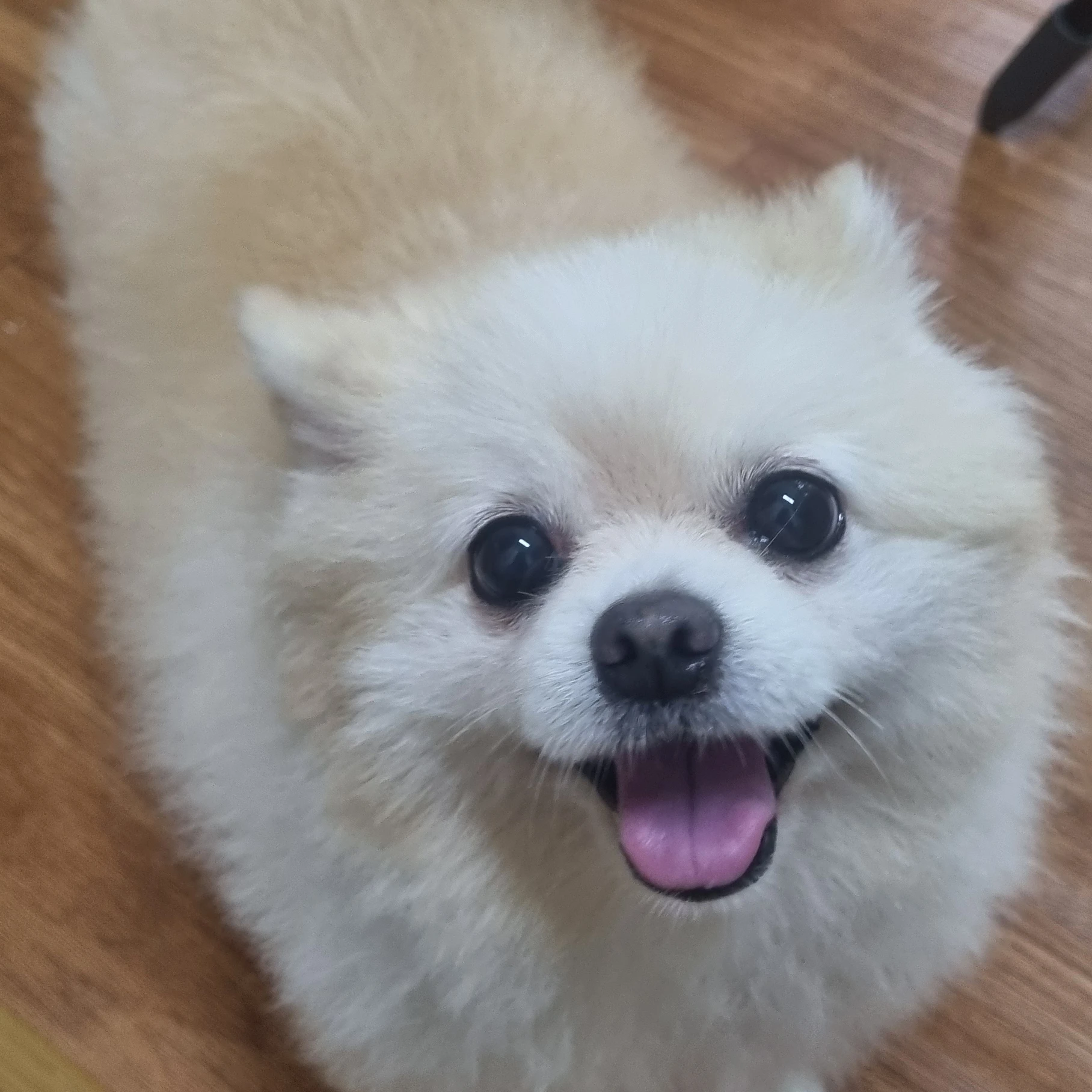 리레볼루션