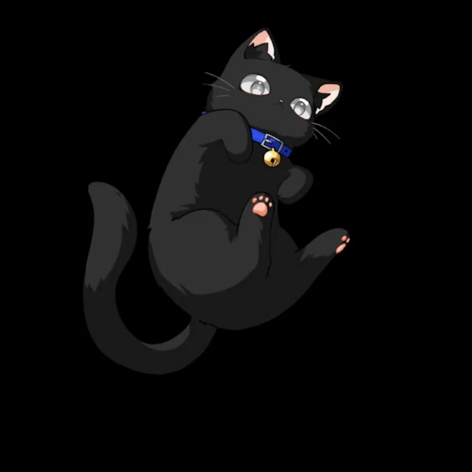 잭