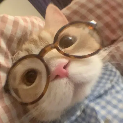 OOch__의 오치