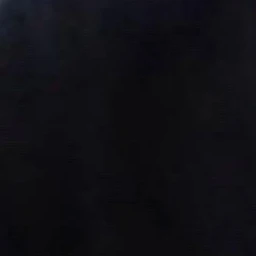 상혀기