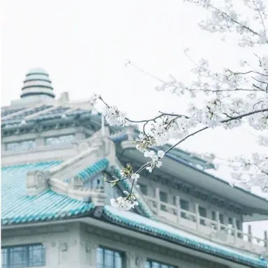 Profile image of 우유참치