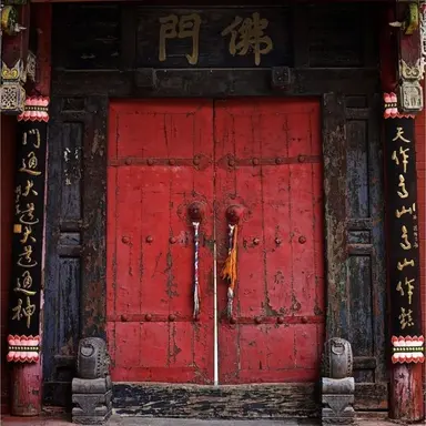 Profile image of 유기사