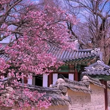 Profile image of 밥풀