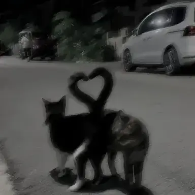 Profile image of Reaction room