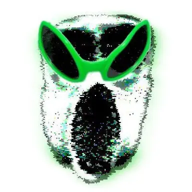 Profile image of 앰부쉬