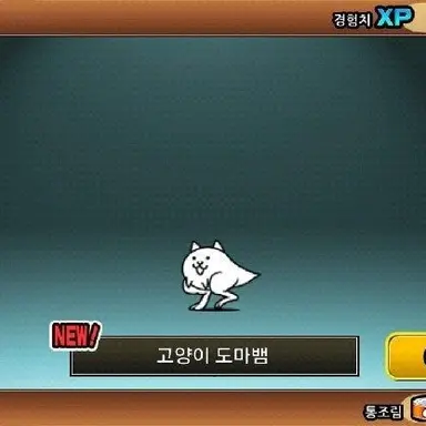 Profile image of 고양이 도마뱀