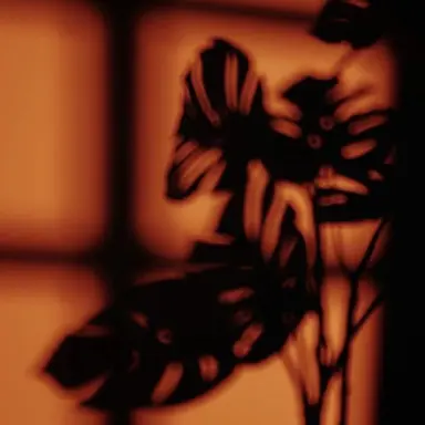 Profile image of 준브레드
