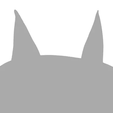 Profile image of 그레이