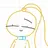 팬돈티나