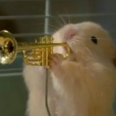 Profile image of 쿠키