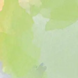 Profile image of 정공룡